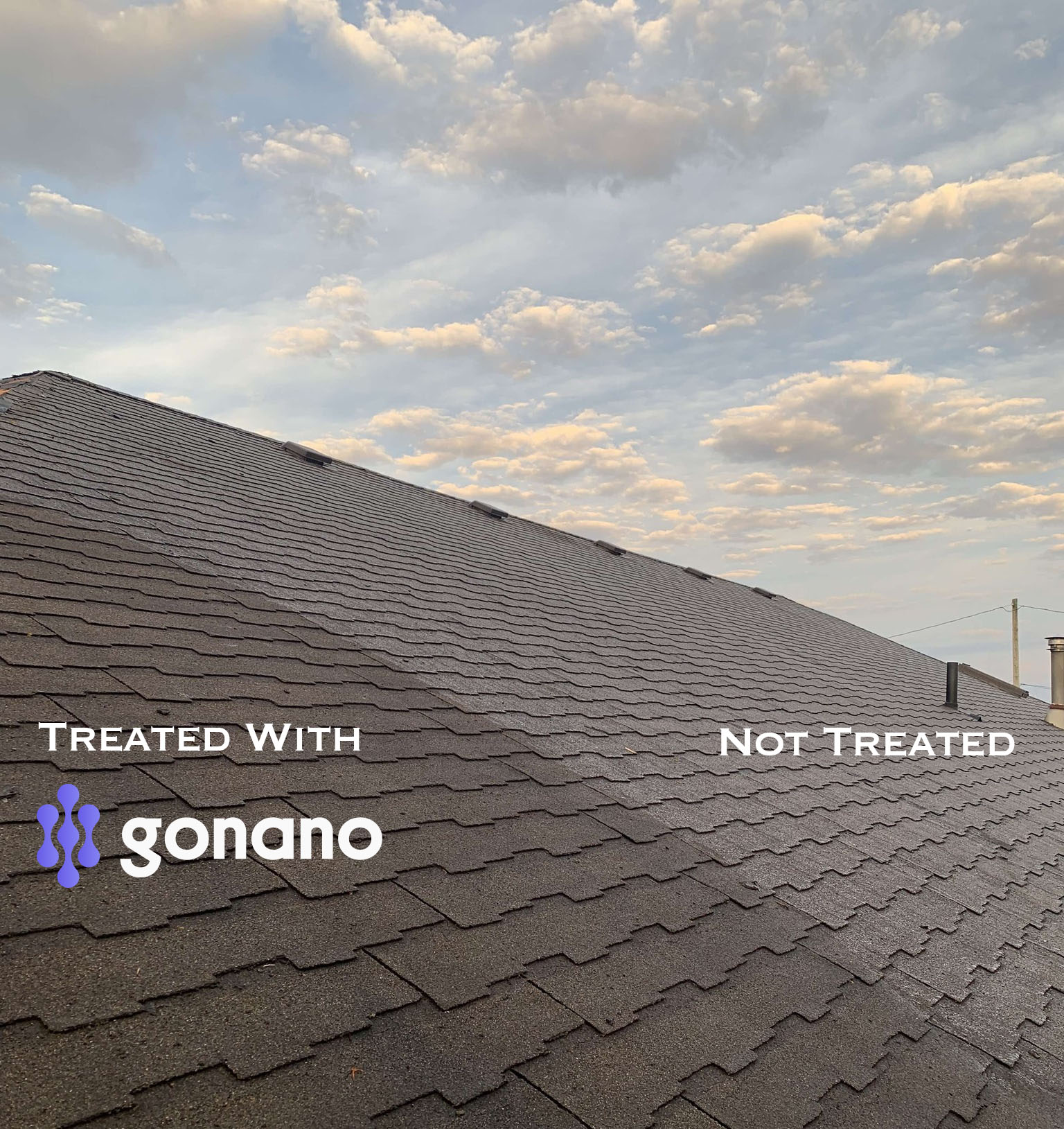 Before and after Go Nano roof treatment on asphalt shingles