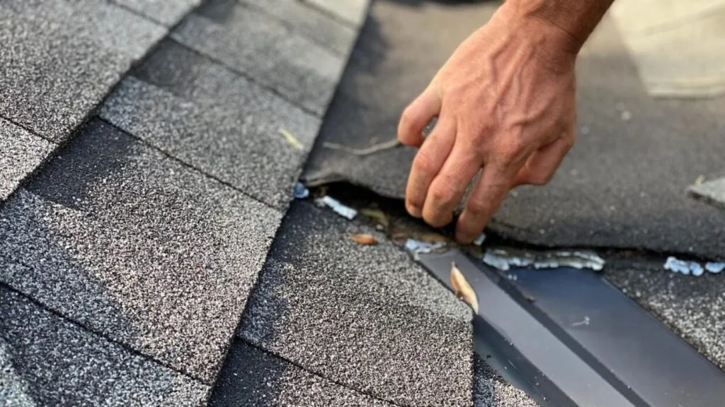 Roof Surface Evaluation