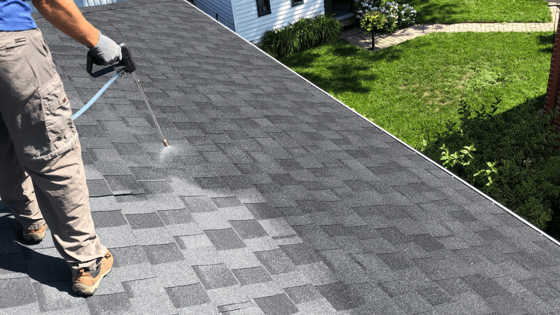Asphalt shingle roof ready for Go Nano treatment